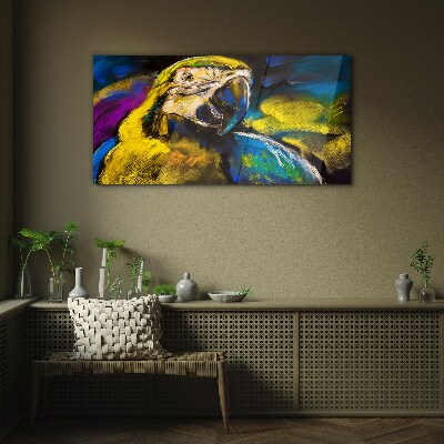Tableau photo sur verre Portrait coloré d'un perroquet