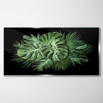 Tableau sur verre Vert tropical sur fond noir
