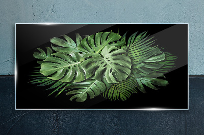 Tableau sur verre Vert tropical sur fond noir