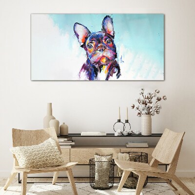 Tableau photo sur verre Portrait coloré d'un bouledogue français