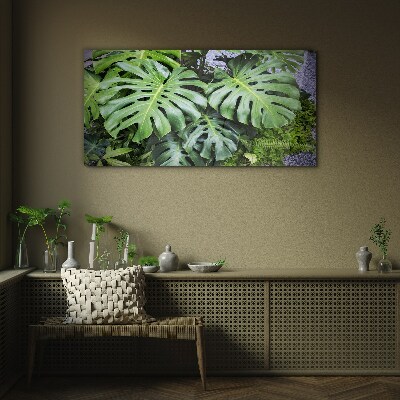 Tableau sur verre Feuilles de monstera vertes dans la nature