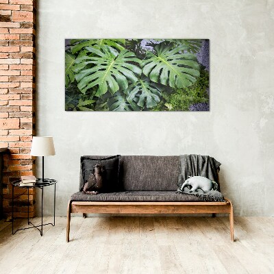 Tableau sur verre Feuilles de monstera vertes dans la nature
