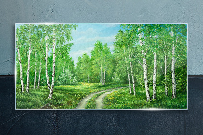 Tableau imprimé sur verre Forêt verte avec des bouleaux blancs
