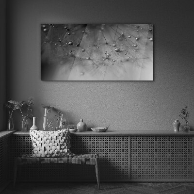 Tableau photo sur verre Gouttes de rosée sur un pissenlit