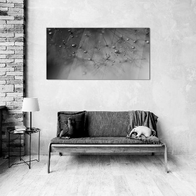 Tableau photo sur verre Gouttes de rosée sur un pissenlit