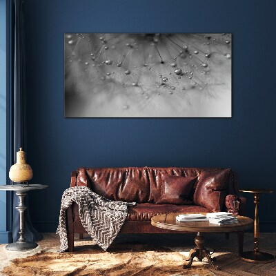 Tableau photo sur verre Gouttes de rosée sur un pissenlit