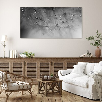 Tableau photo sur verre Gouttes de rosée sur un pissenlit