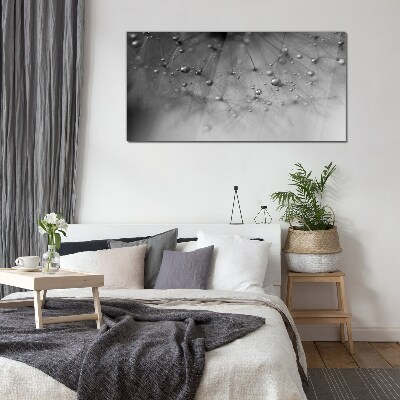 Tableau photo sur verre Gouttes de rosée sur un pissenlit