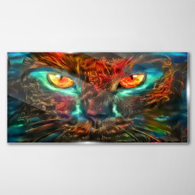 Tableau photo sur verre Les yeux du chat mystérieux