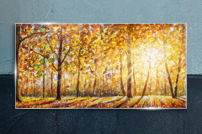 Tableau photo sur verre Automne doré dans la forêt