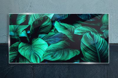 Tableau sur verre Feuilles tropicales vertes
