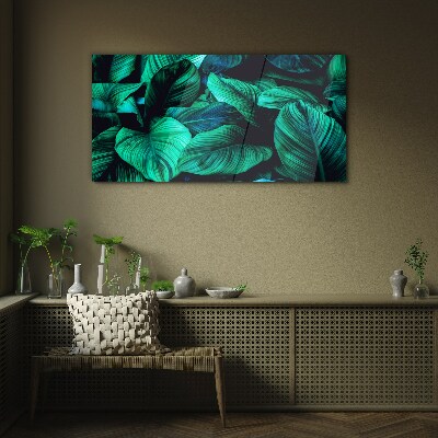Tableau sur verre Feuilles tropicales vertes
