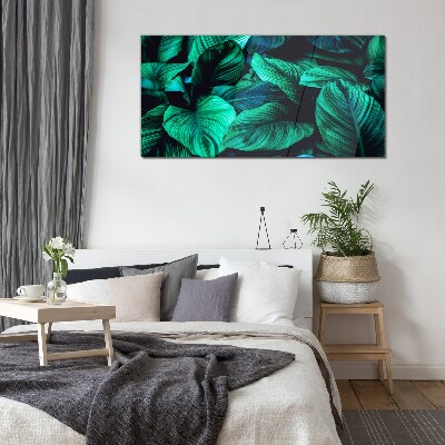 Tableau sur verre Feuilles tropicales vertes