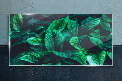 Tableau verre imprimé Symphonie verte des feuilles