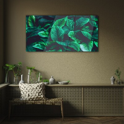 Tableau verre imprimé Symphonie verte des feuilles