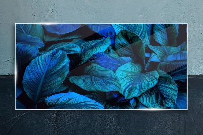 Tableau photo sur verre Un paradis vert aux nuances de bleu