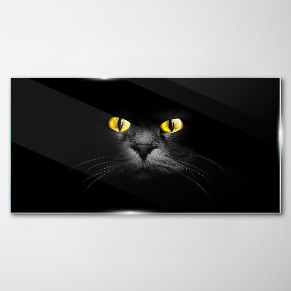 Tableau en verre Yeux de chat dorés dans l'ombre