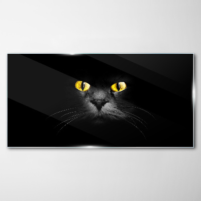 Tableau en verre Yeux de chat dorés dans l'ombre
