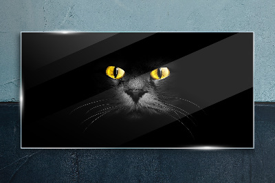 Tableau en verre Yeux de chat dorés dans l'ombre