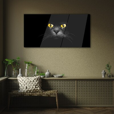 Tableau en verre Yeux de chat dorés dans l'ombre
