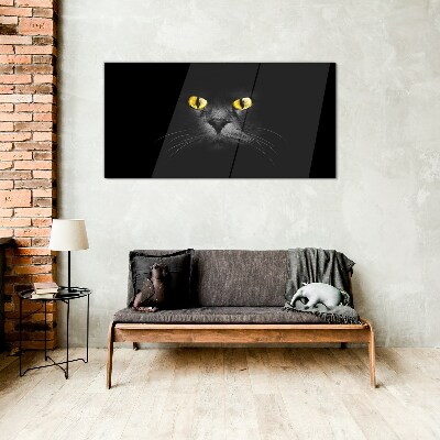 Tableau en verre Yeux de chat dorés dans l'ombre