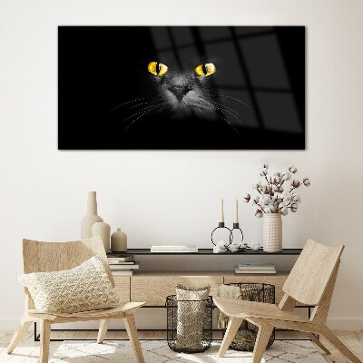 Tableau en verre Yeux de chat dorés dans l'ombre