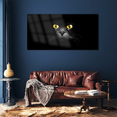 Tableau en verre Yeux de chat dorés dans l'ombre