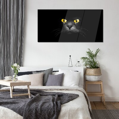 Tableau en verre Yeux de chat dorés dans l'ombre