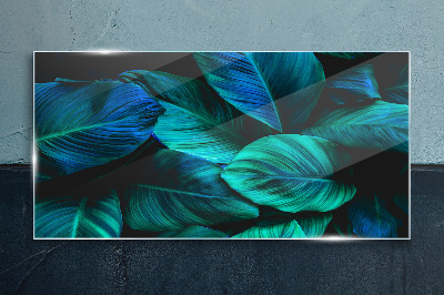 Tableau photo sur verre Feuilles vertes à l'ombre profonde