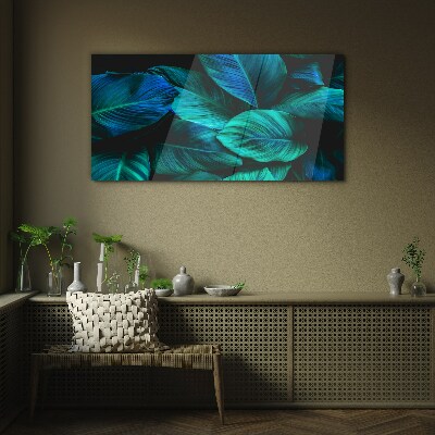 Tableau photo sur verre Feuilles vertes à l'ombre profonde