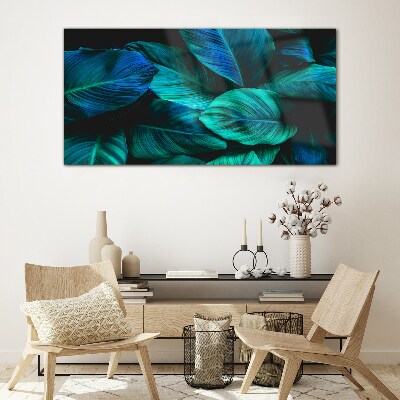 Tableau photo sur verre Feuilles vertes à l'ombre profonde