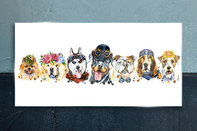 Tableau photo sur verre Chiens avec des accessoires à la mode