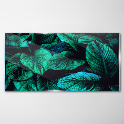 Tableau photo sur verre Feuilles tropicales vertes