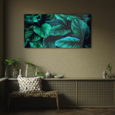 Tableau photo sur verre Feuilles tropicales vertes