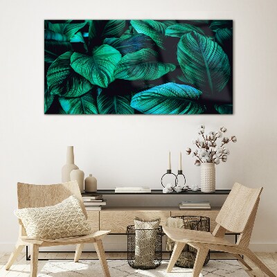Tableau photo sur verre Feuilles tropicales vertes