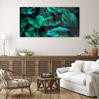 Tableau photo sur verre Feuilles tropicales vertes