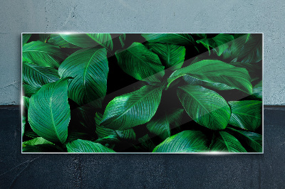 Tableau imprimé sur verre Symphonie verte des feuilles