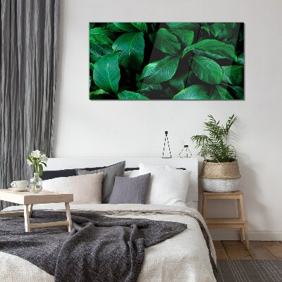 Tableau imprimé sur verre Symphonie verte des feuilles
