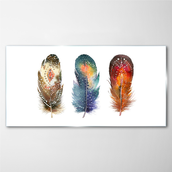 Tableau imprimé sur verre Plumes colorées