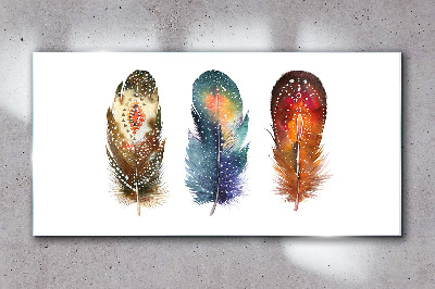 Tableau imprimé sur verre Plumes colorées