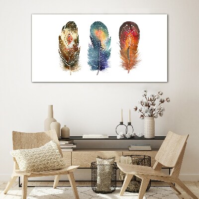 Tableau imprimé sur verre Plumes colorées