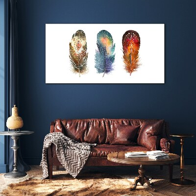 Tableau imprimé sur verre Plumes colorées