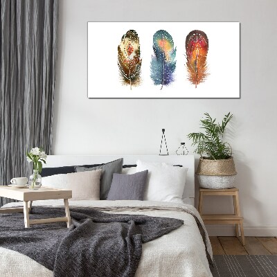 Tableau imprimé sur verre Plumes colorées