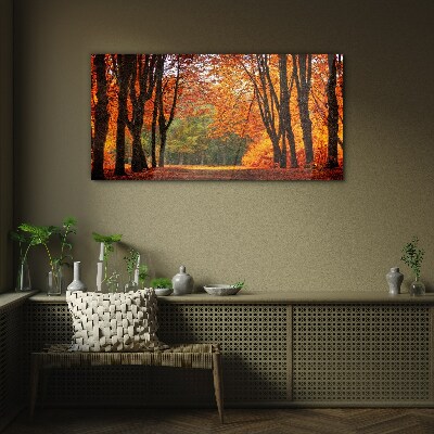 Tableau verre imprimé Allée d'arbres d'automne