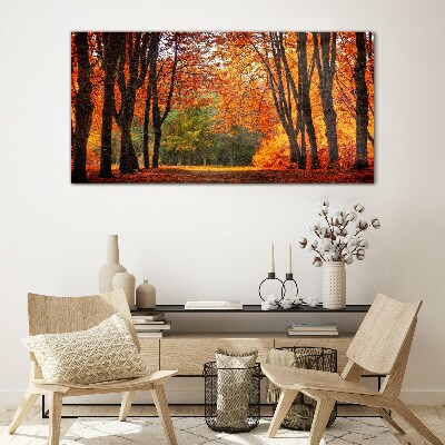 Tableau verre imprimé Allée d'arbres d'automne