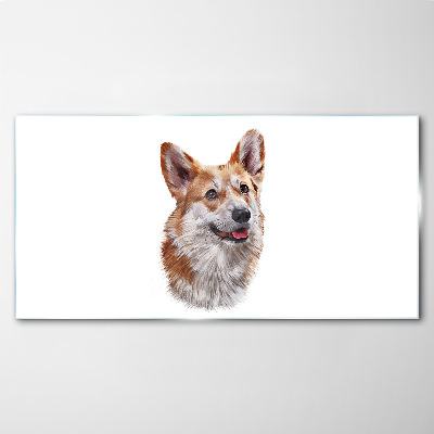 Tableau photo sur verre Portrait d'un chien Corgi joyeux