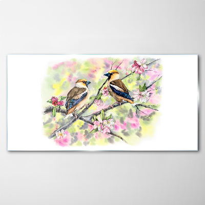 Tableau photo sur verre Oiseaux sur une branche avec des fleurs