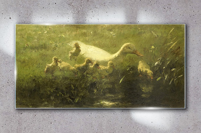 Tableau verre imprimé Un canard avec des poussins dans l'herbe