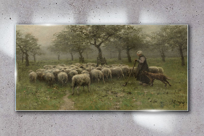 Tableau photo sur verre Des moutons paissent dans un paysage mystique