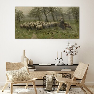 Tableau photo sur verre Des moutons paissent dans un paysage mystique